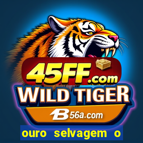 ouro selvagem o que aconteceu na vida